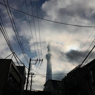 是枝組201801
