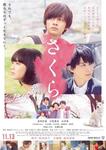 sakura_mv_p1.jpg