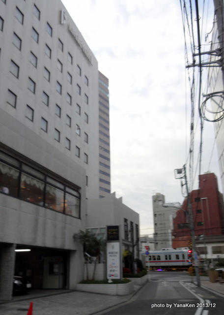 birdie_chiba201312a.JPG