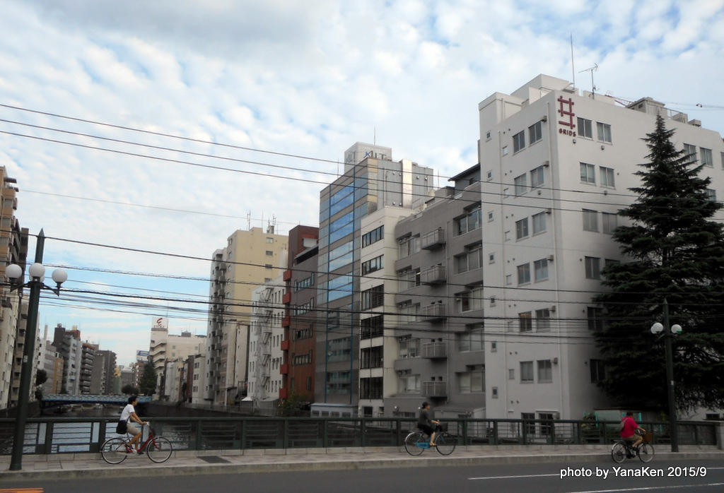 grids201509a.JPG