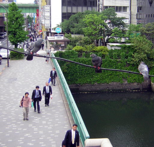 和泉橋(2005/5)