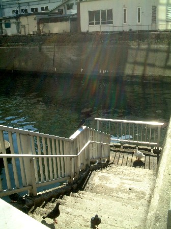 photo(小石川大下水出口の船着場)