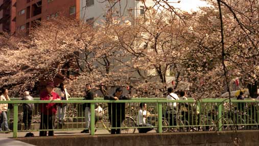 photo:三島橋