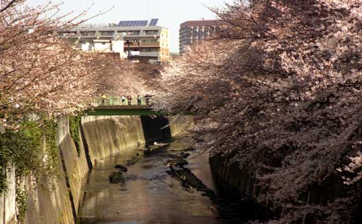 photo:仲之橋(西早稲田)