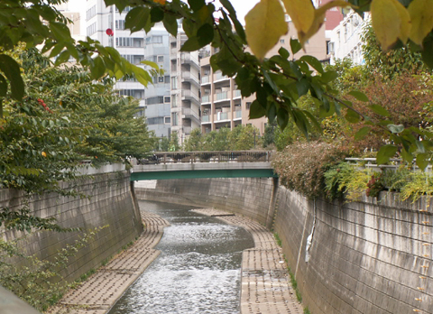 栄橋[神田川]