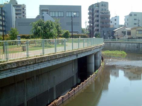 泉南緑地と取水口