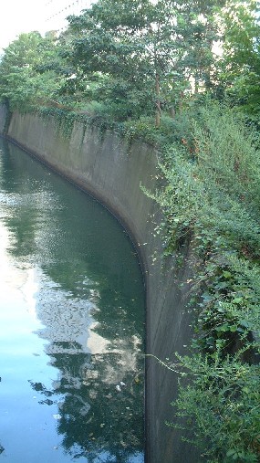 宝田橋周辺の川面